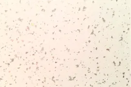 Столешница Кедр 70005/S Кварц