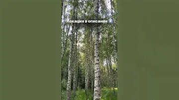 Сказочный дом в КП Beketovo Park