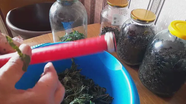 Простая технология получения ГАБ чая из кипрея(иван-чая).