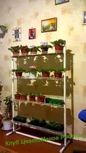 Стеллаж КЕДР на ножках