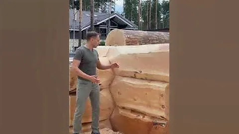 3 вида Рубки на одном Срубе.