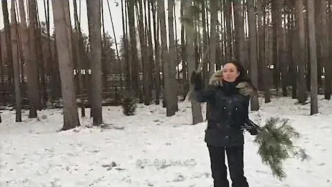 Зимний букет из еловых веток.