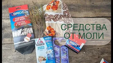Как защитить шерсть от моли