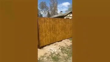 Забор из профнастила под дерево