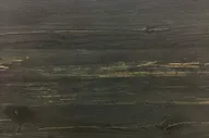 Столешница Кедр 7030/FL Черная сосна
