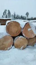 Кедр кругляк, лафет, пиломатериалы оптом.