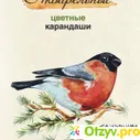 Акварельные цветные карандаши Сибирский кедр 24 цвета - отзыв