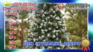 Сосна "Хрустальная" (серебро)