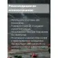 Благовония HEM Кедр (Cedar), аромапалочки 20 шт.