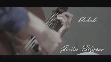 Perez 630 cedar (Whale)|Easy tabs sheet how to read guitar tabs