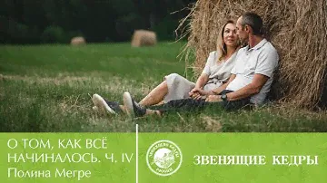 Истории о компании «Звенящие Кедры» от Полины Мегре. Часть IV