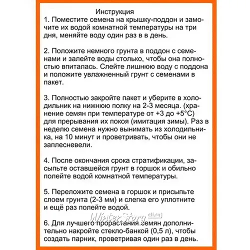 Набор для выращивания дерева Кедр-2