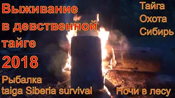 Выживание в девственной тайге 2018  Рыбалка Охота Лес Поход Сибирь Медведь, Тайга, Хариус, Таймень