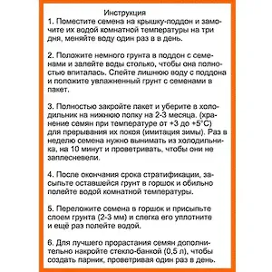 Набор для выращивания дерева Кедр-3