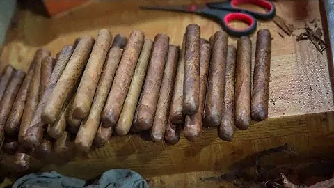 Сигара из домашнего табака от Александра Мартьянова