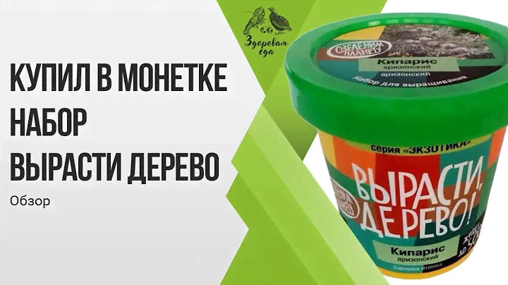 Набор "Вырасти дерево" . Земляника, виноград, гранат, кофе.