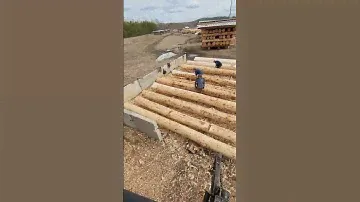 Подотавливаем кедр для хранения в стелажах на будущие срубы.