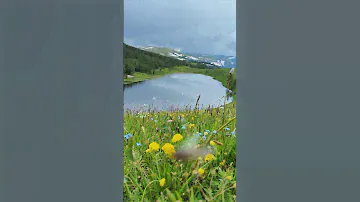🌿 Аренда гостевого дома и увлекательные туры по Катон Карагаю.  🏡📞+77789592101 