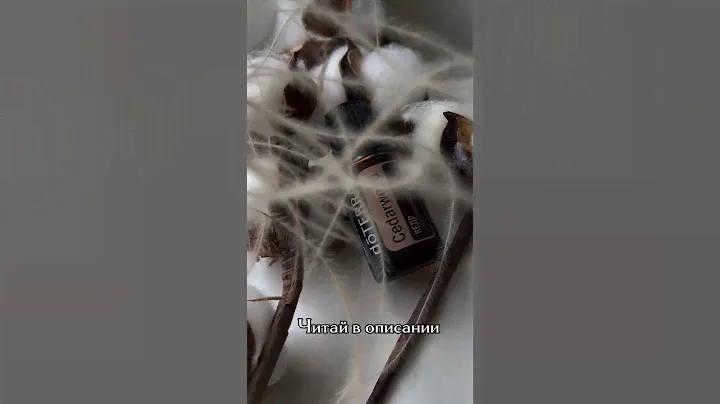 Магические свойства эфирного масла кедр #магиямасел