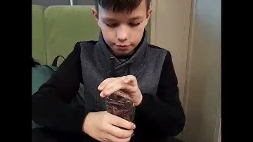 шоколад СИБИРСКИЙ КЕДР (серия 1 "темный")