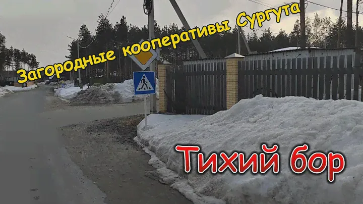 Загородные кооперативы Сургута. Тихий бор.