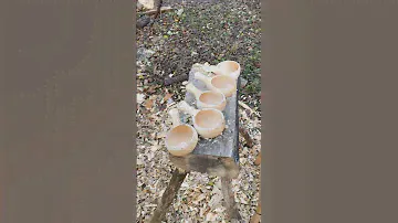 Заготовки кукс. Ч.2 #bushcraft #carving #woodworking #kuksa #greenwoodworking ##kuksacarving