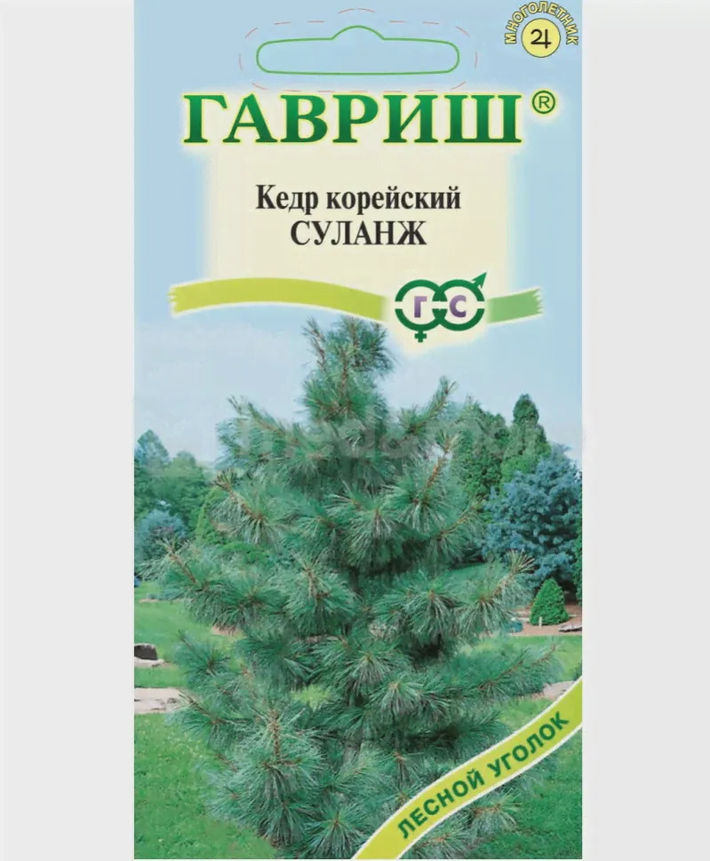 Семена Кедр корейский Суланж 3 шт.