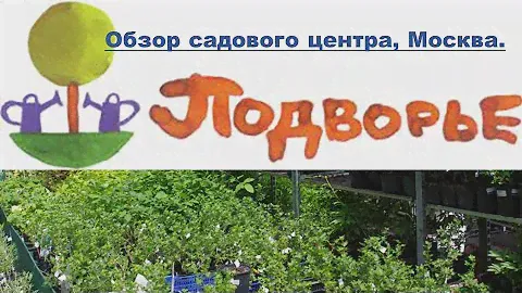 Обзор садового центра ПОДВОРЬЕ/МОСКВА/30.09.2022/ХВОЙНЫЕ/ГОРТЕНЗИИ И ДРУГИЕ РАСТЕНИЯ. РАСПРОДАЖА!
