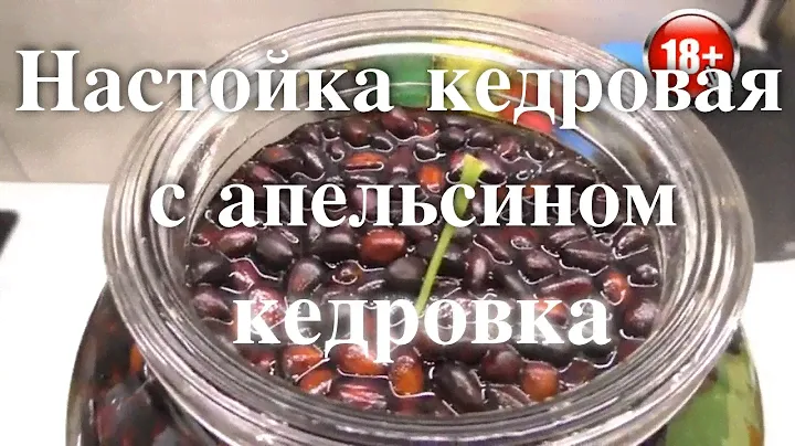 Кедровка ⭐️ Кедровая настойка ⭐️ Настойка на Кедровых орешках с апельсином. ⭐️