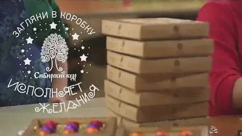 Сибирский кедр исполняет желания