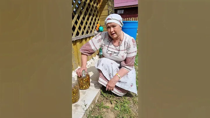 Лекарство из сосновых шишек