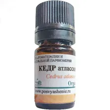 Кедр атласский (Cedrus atlantica) organic