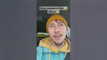 Собираем шишки💪 деревенские заработки! Полная BMW шишками😁