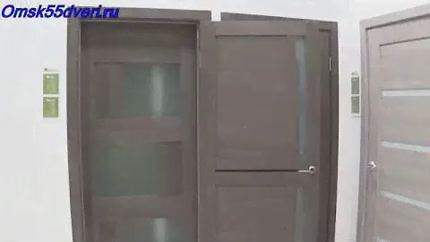 omsk55dveri.ru Стокгольм Серый кедр Стекло матовое межкомнатная дверь
