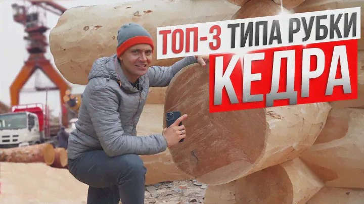 Виды рубки деревянного сруба. Плюсы и минусы кедровых домов
