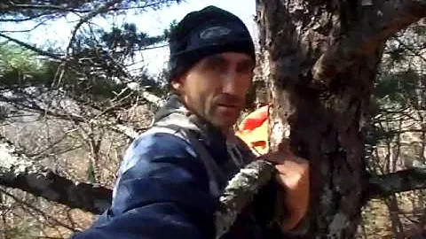 сбор шишек в Приморском крае