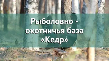 Охота в Ярославской области – Рыболовно - охотничья база «Кедр» охота на лося в Ярославской области