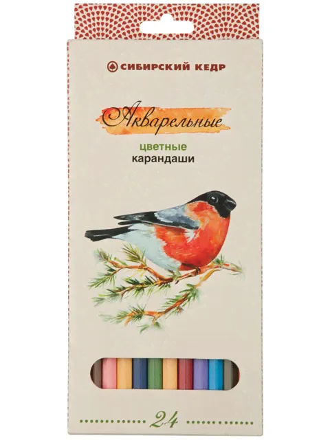 Карандаши цветные Сибирский кедр "Птицы Сибири" 24 цвета, акварельные-0