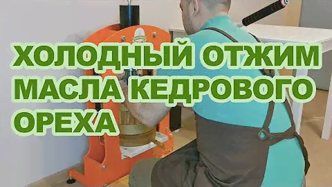 Холодный отжим масла кедрового ореха