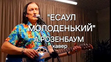 "ЕСАУЛ МОЛОДЕНЬКИЙ" Кавер песни А.Розенбаума 🎸