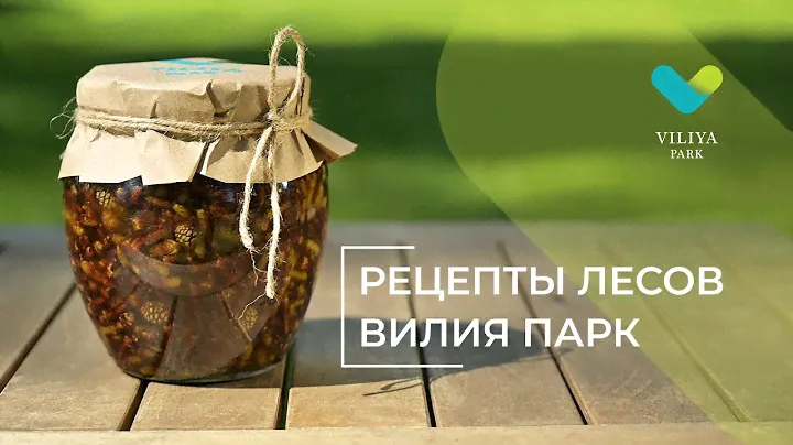 Рецепт варенья из сосновых побегов | Viliya Park