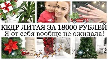 МЫ КУПИЛИ ЁЛКУ🎄😍 Искусственная ёлка КЕДР за 18000 РУБЛЕЙ🎄⛄️Новогодние игрушки на елку 🎊Лента