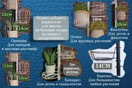Кедр-мини на ножках с поддонами