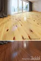 Кедр швейцарский и Каштан посевной - Дерево - 3D модель