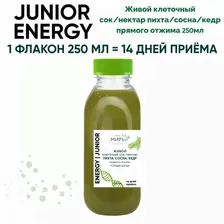 Живой клеточный сок/нектар для детей и подростков микс Пихта/Кедр/Сосна прямого отжима, 250 мл - 100 мл