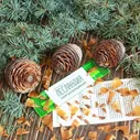 Семена Лесландия Кедр Атласский Голубой, Семена, 10 шт