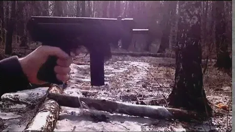 ПП-91-СХ КЕДР